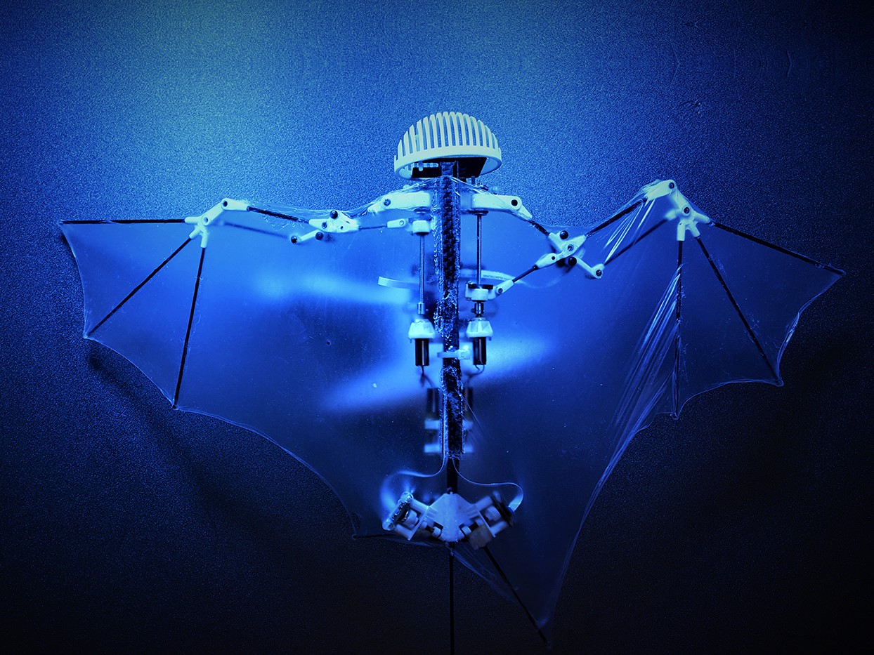 <b>A Version of the Bat Bot</b><p><em>This is an older version of the bat robot which we worked to improve.</em></p>